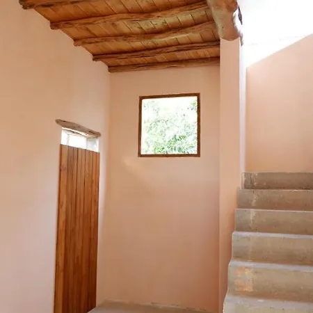 Ginepro San Vito (Sardinia)